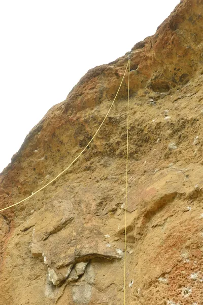 DSC_6317 (Large).JPG